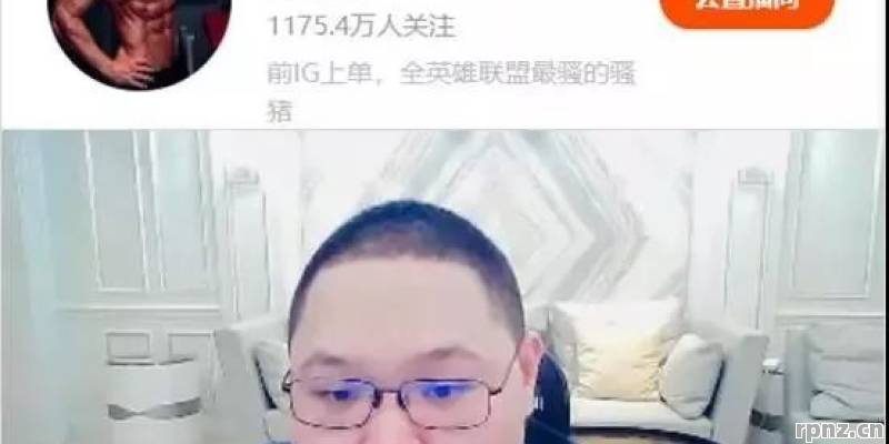 PPD怎么不打职业 2026年真相揭秘