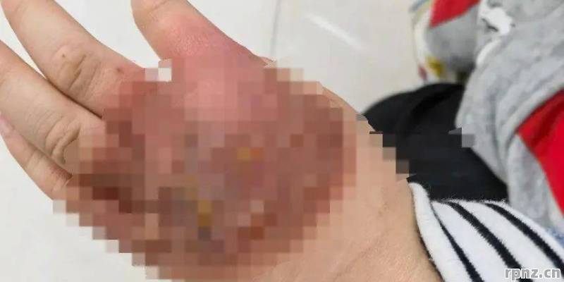 少前云图计划亲密度怎么升 2026年三岁小孩教你