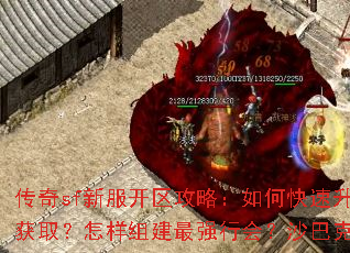 传奇sf新服开区攻略：如何快速升级？装备怎么获取？怎样组建最强行会？沙巴克攻城全技巧解析