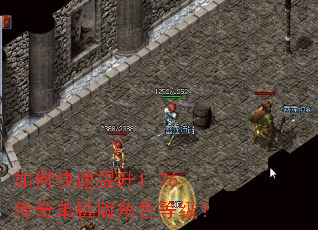 如何快速提升1.76传奇单机版角色等级？