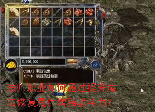 法师职业如何通过提升魔法恢复属性增强战斗力？