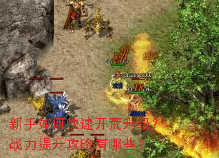 新手如何快速开荒升级？战力提升攻略有哪些？