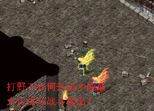 打野刀如何升级才能最大化提升战斗输出？