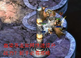 血染苍龙如何快速提升战力？新手必看攻略