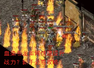 血染苍龙如何快速提升战力？新手必看攻略