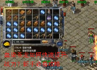 血染苍龙如何快速提升战力？新手必看攻略