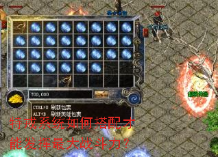 特戒系统如何搭配才能发挥最大战斗力？