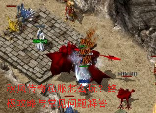 秋风传奇私服怎么玩？终极攻略与常见问题解答