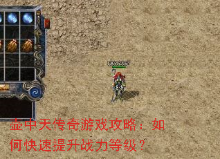 壶中天传奇游戏攻略：如何快速提升战力等级？