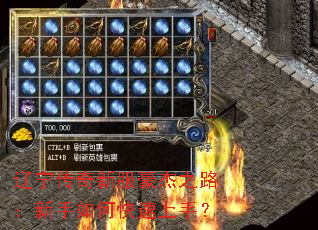 辽宁传奇新服豪杰之路：新手如何快速上手？