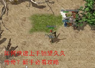 如何快速上手驰望久久传奇？新手必看攻略