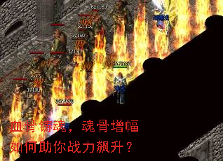 血骨铸魂，魂骨增幅如何助你战力飙升？