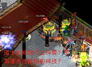道士的辉煌不止神兽？还有哪些技能堪称神技？