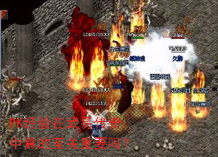 PK经验在武易传奇中真的至关重要吗？