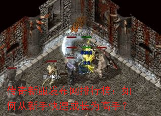 传奇新服发布网排行榜：如何从新手快速成长为高手？