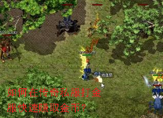 如何在传奇私服打金服快速赚取金币？