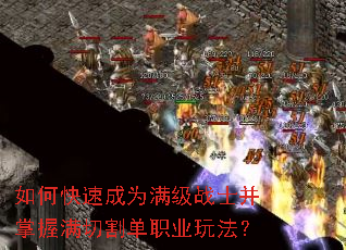 如何快速成为满级战士并掌握满切割单职业玩法？