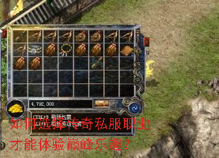 如何选择传奇私服职业才能体验巅峰乐趣？