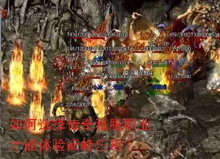 如何选择传奇私服职业才能体验巅峰乐趣？