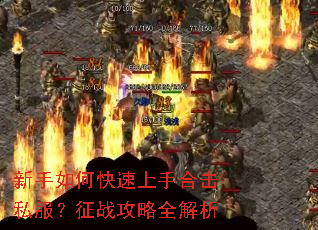 新手如何快速上手合击私服？征战攻略全解析