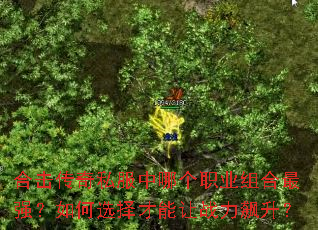 合击传奇私服中哪个职业组合最强？如何选择才能让战力飙升？