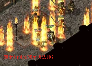 道士如何无狗单挑法师？