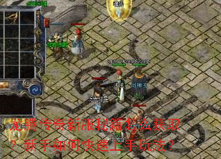 龙腾传奇新服秘籍怎么获取？新手如何快速上手玩法？