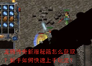 龙腾传奇新服秘籍怎么获取？新手如何快速上手玩法？
