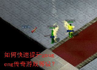 如何快速提升gougeng传奇游戏等级？