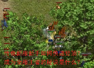 传奇新服新手如何快速登顶？成为全服王者的秘诀是什么？