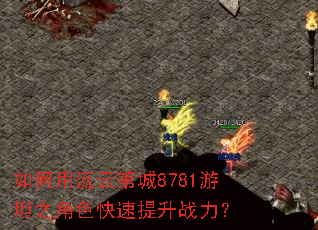 如何用流云第城8781游坦之角色快速提升战力？