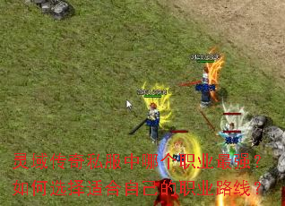 灵域传奇私服中哪个职业最强？如何选择适合自己的职业路线？