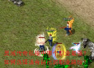 灵域传奇私服中哪个职业最强？如何选择适合自己的职业路线？