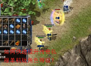 如何快速提升传奇私服单机版角色等级？