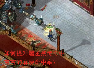 如何提升屠龙戮传奇中宝宝的麻痹命中率？