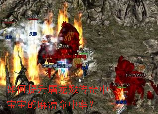 如何提升屠龙戮传奇中宝宝的麻痹命中率？