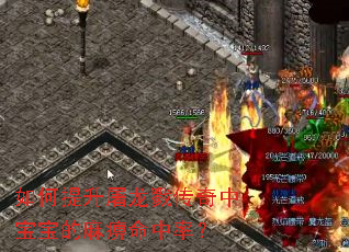 如何提升屠龙戮传奇中宝宝的麻痹命中率？