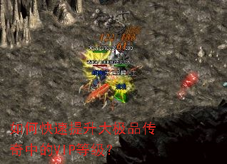 如何快速提升大极品传奇中的VIP等级？