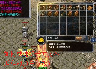 如何快速提升方舟冬瓜私服角色等级？