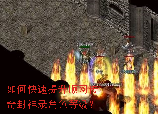 如何快速提升顺网传奇封神录角色等级？