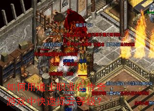 如何用道士职业在传奇游戏中快速提升等级？
