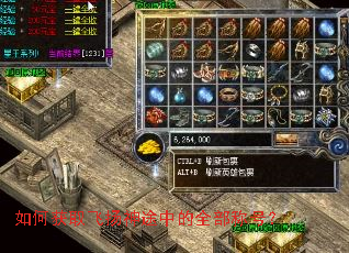 如何获取飞扬神途中的全部称号？