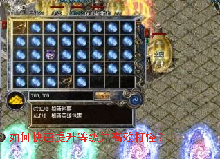 如何快速提升等级并高效打怪？