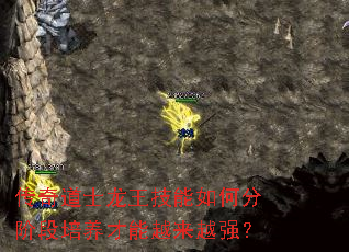 传奇道士龙王技能如何分阶段培养才能越来越强？