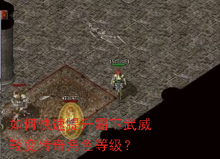 如何快速提升霸下武威轻变传奇角色等级？