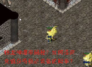 触龙神爆率揭秘？如何提高充值获得极品装备的概率？