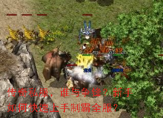 传奇私服，谁与争锋？新手如何快速上手制霸全服？