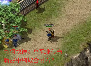 如何快速在单职业传奇新服中刷取金刚石？