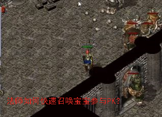 法师如何快速召唤宝宝参与PK？