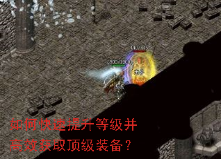 如何快速提升等级并高效获取顶级装备？